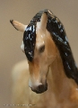 fausto1p