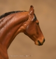 rajah4m