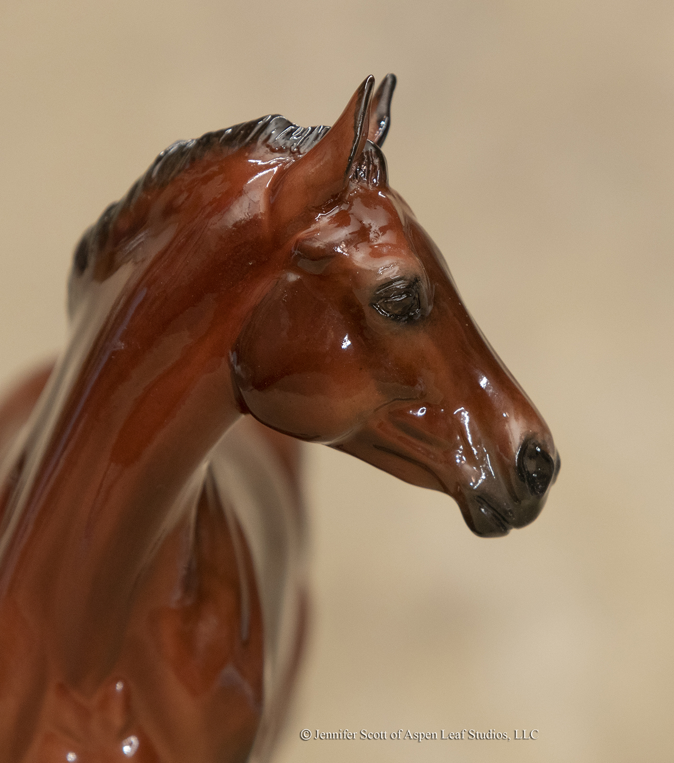 eberlqhfilly2m.jpg